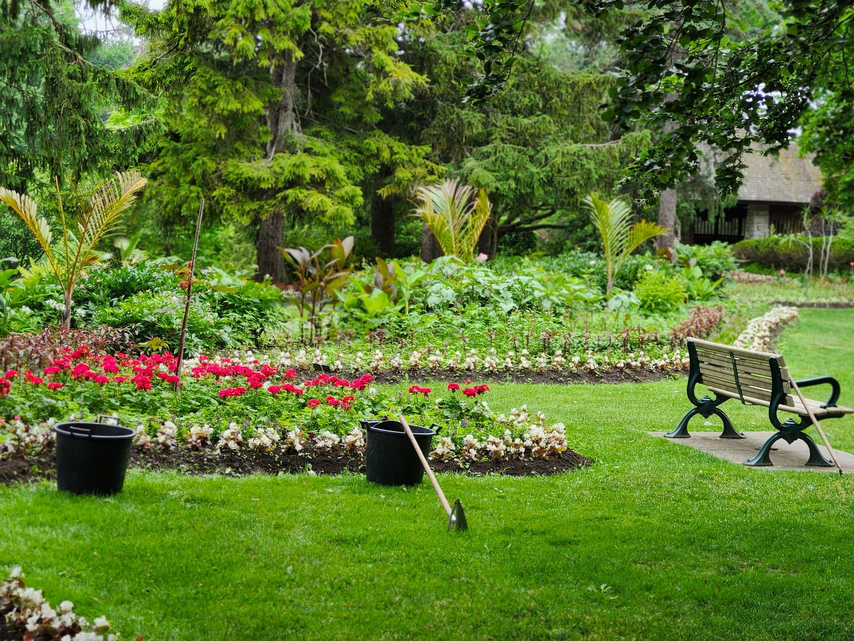 Gepflegte Grünanlage eines Garten- und Landschaftsbaubetriebs